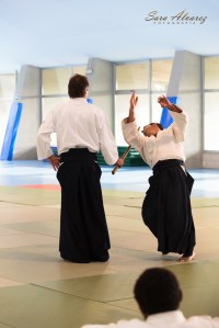 Matti Joensuu Sensei-20_web